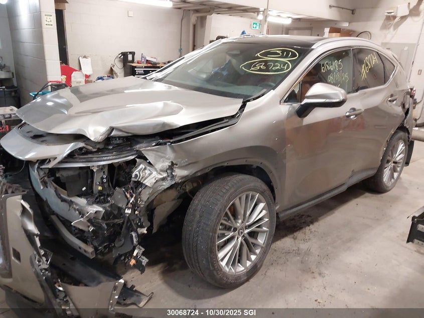 2024 LEXUS NX 350H (HYBRID)